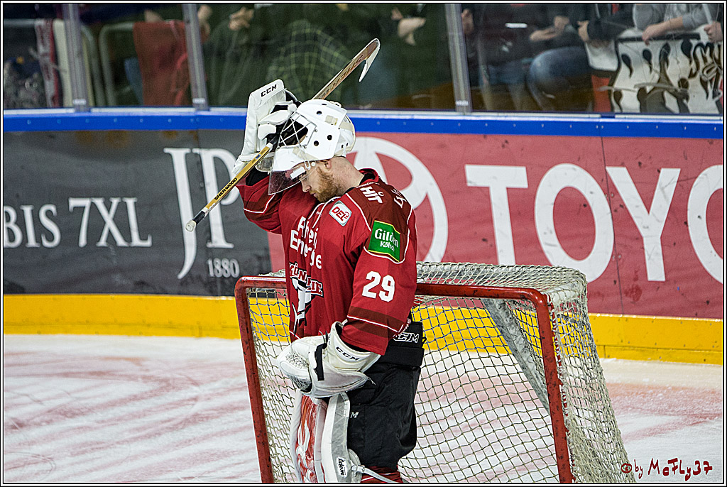 DEL, Koelner Haie - Grizzlys Wolfsburg, 17.03.2017